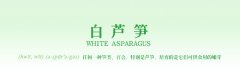 ߲ӡwhite asparagusɫJS